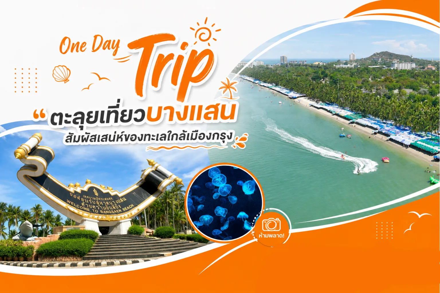 One Day Trip with Busandvan