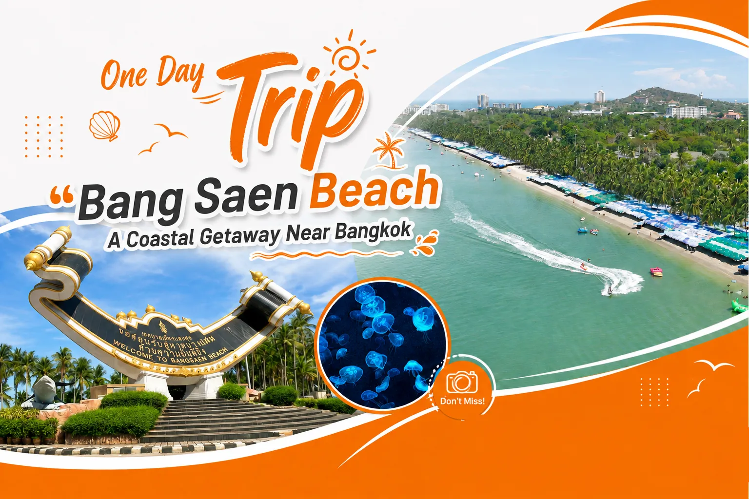 One Day Trip with Busandvan