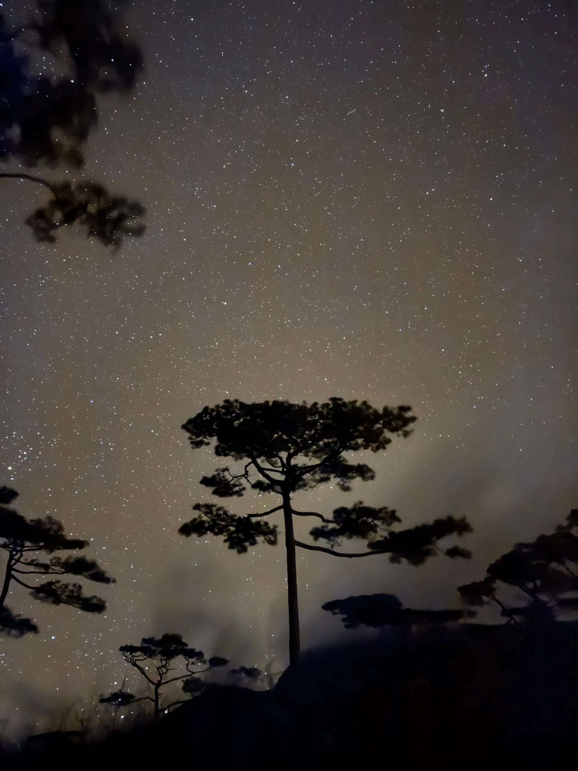 Phu Soi Dao National Park