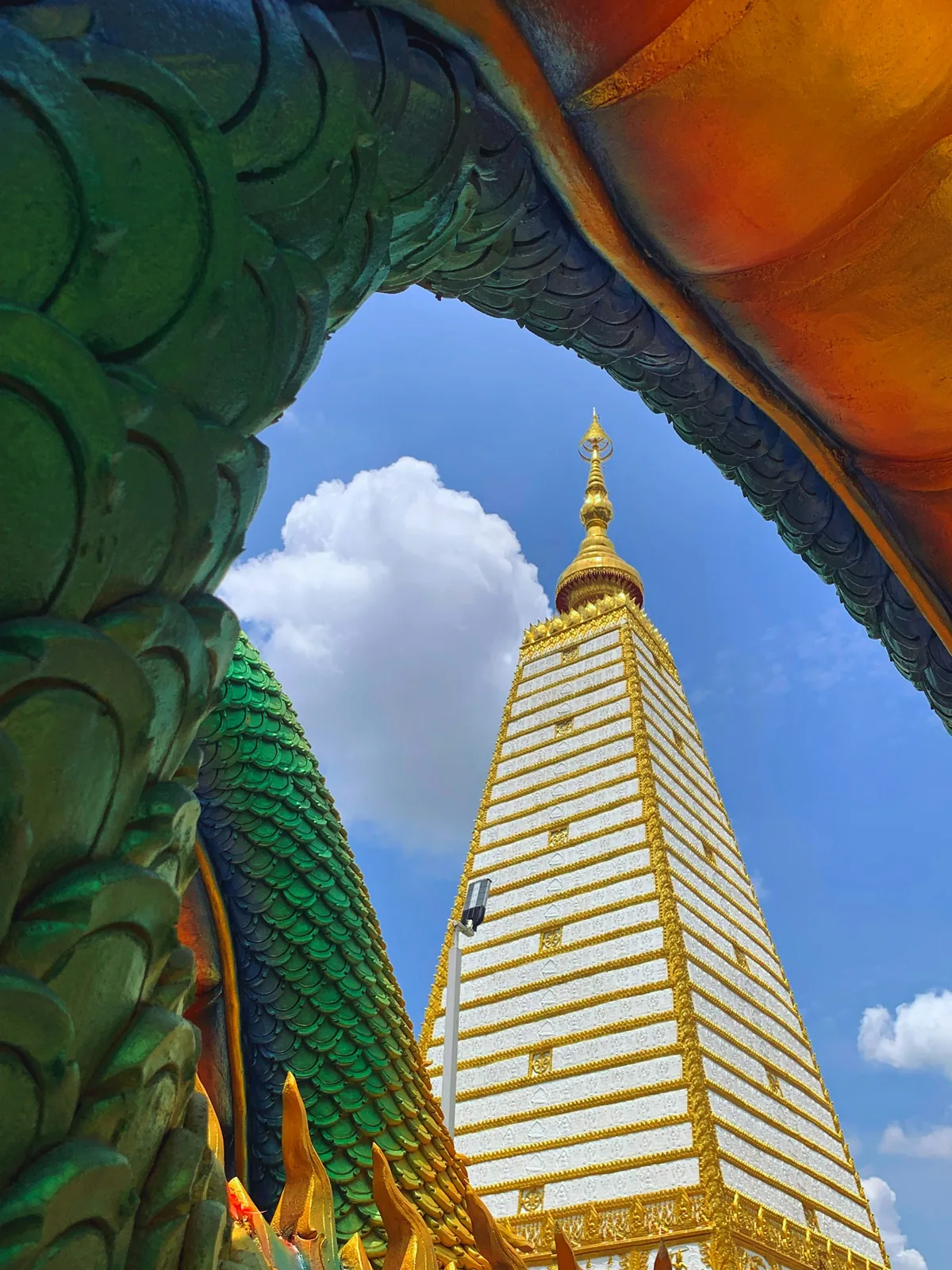 วัดพระธาตุหนองบัว