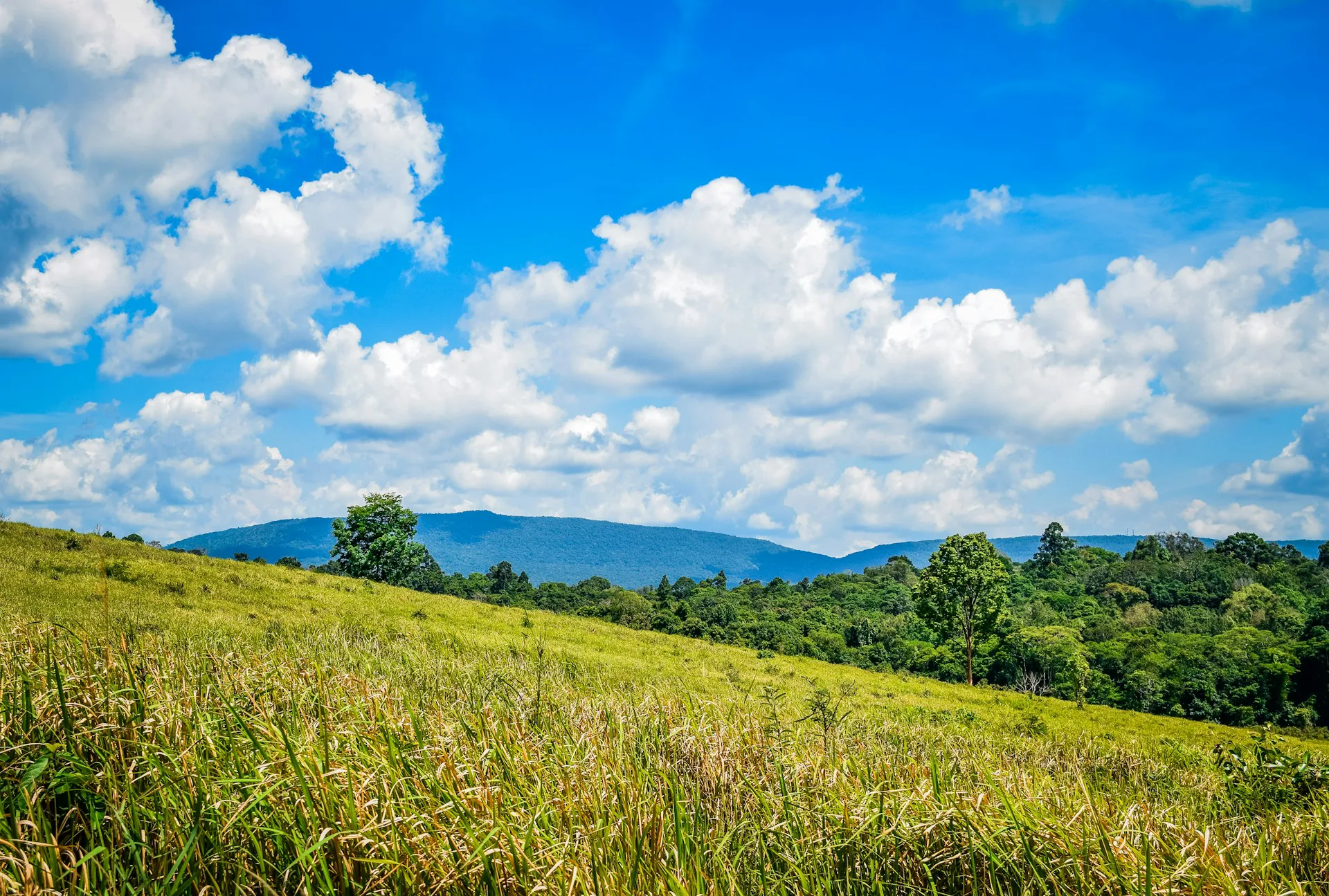 Khao Yai National Park
