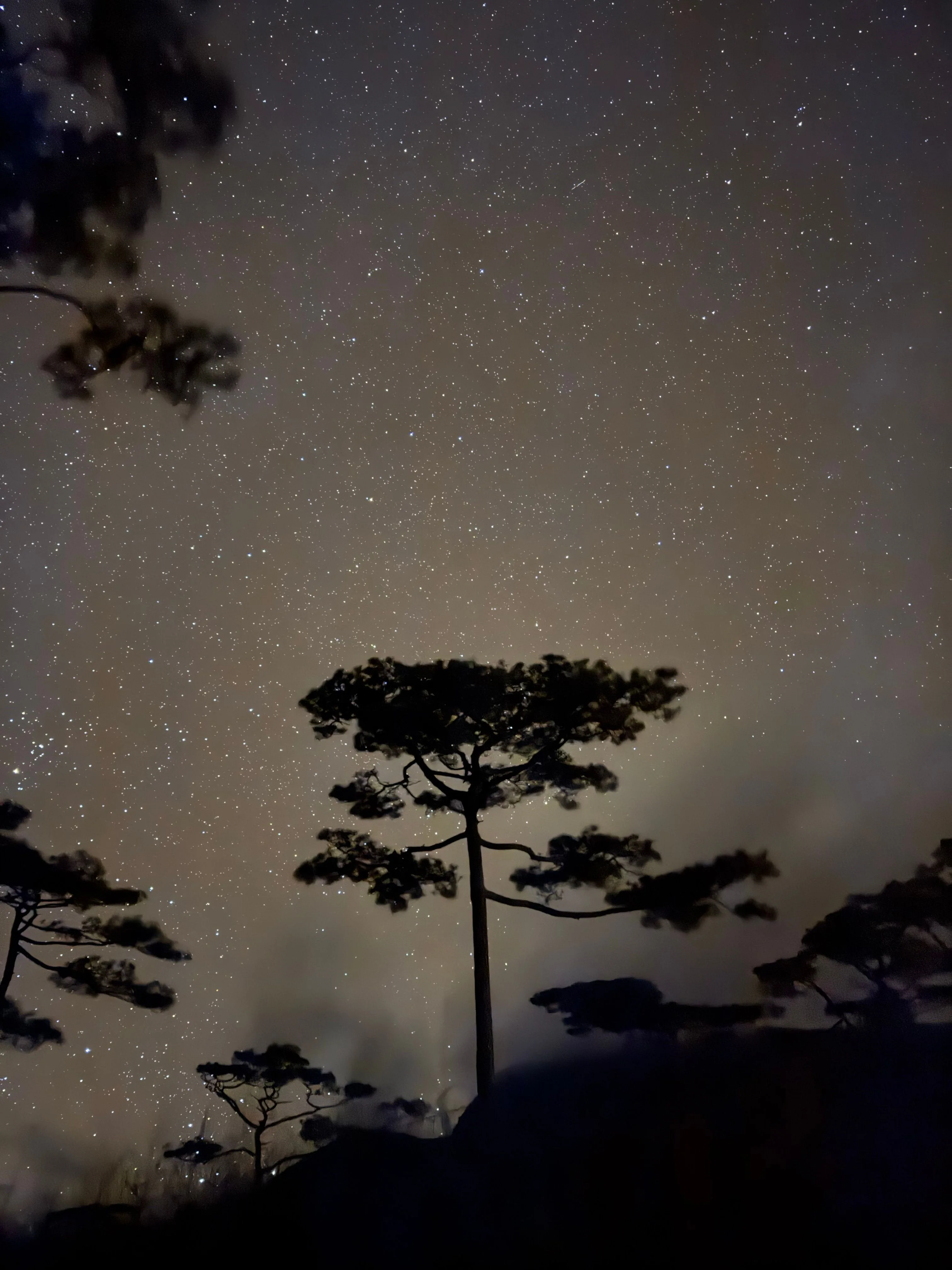 Phu Soi Dao National Park
