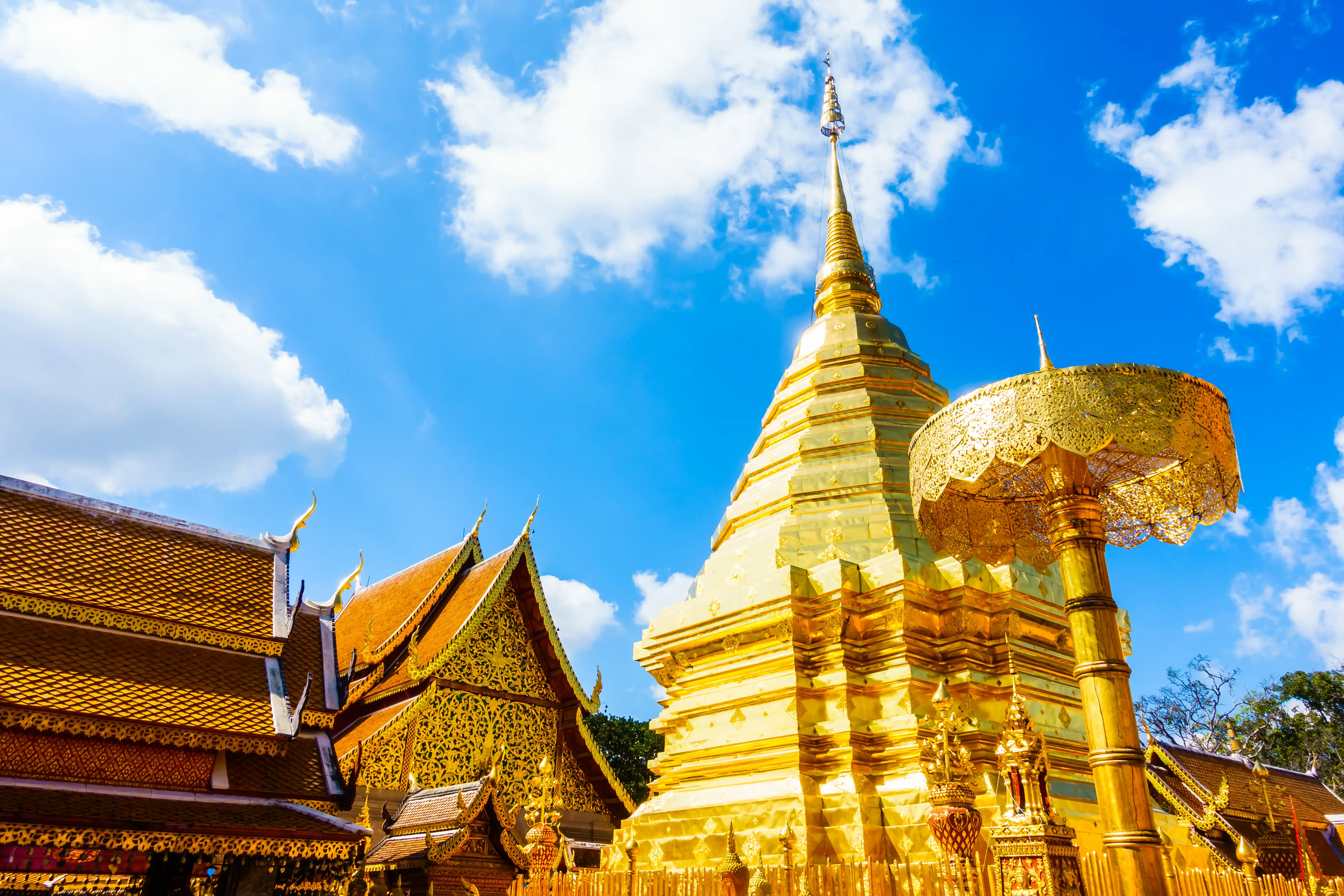 รถทัวร์ อยุธยา ถึง เชียงใหม่